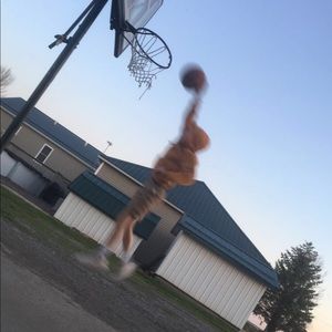 Meet your Posher, Jaxson